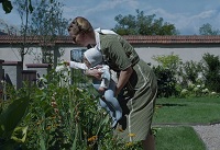 [Filmbild]